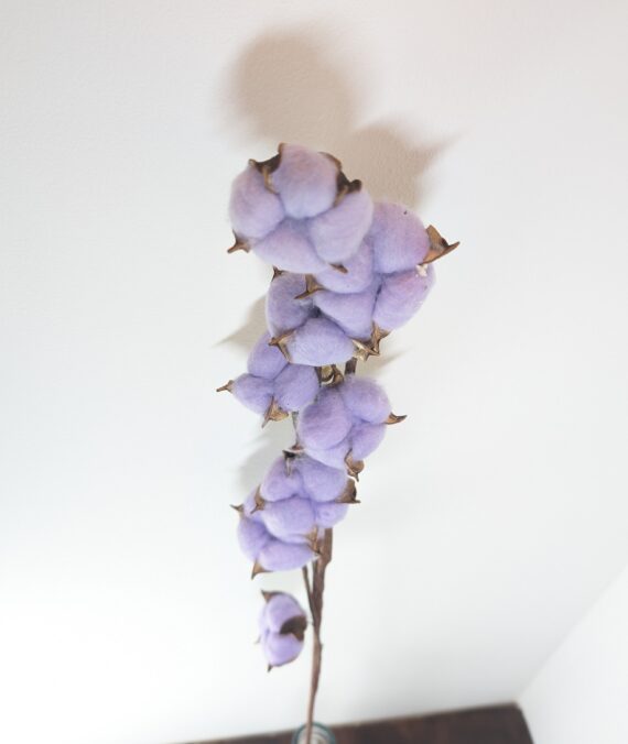 Cotton Branch, Lavander, 10 heads, per Stem