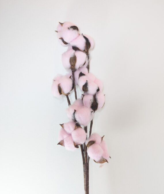 Cotton Branch, Pink, 10 heads, per Stem