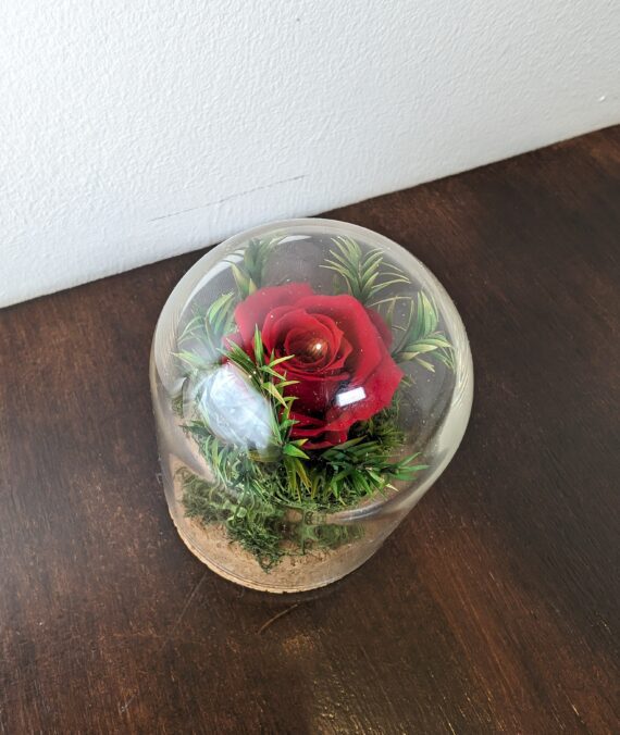 Christina Glass Dome, Small