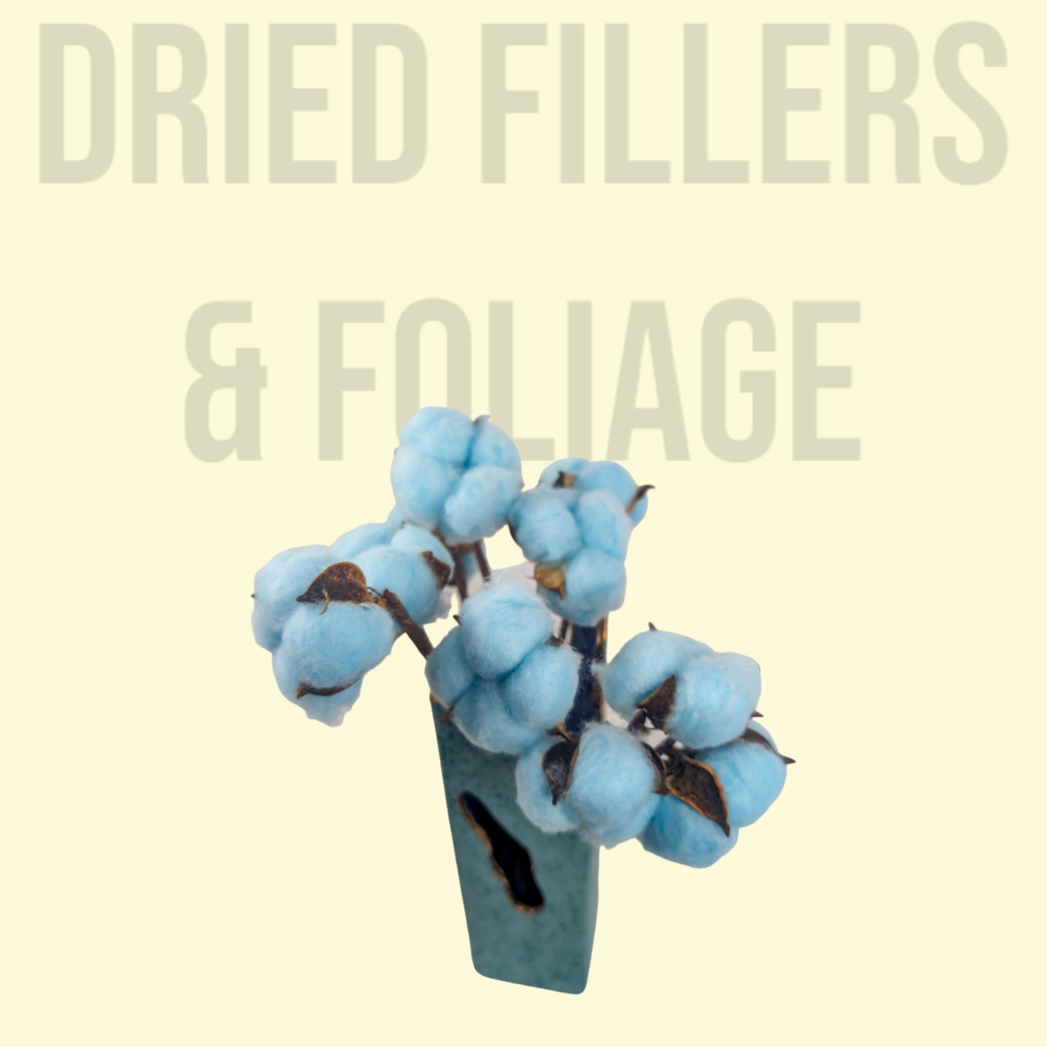 Dried Fillers & Foliage